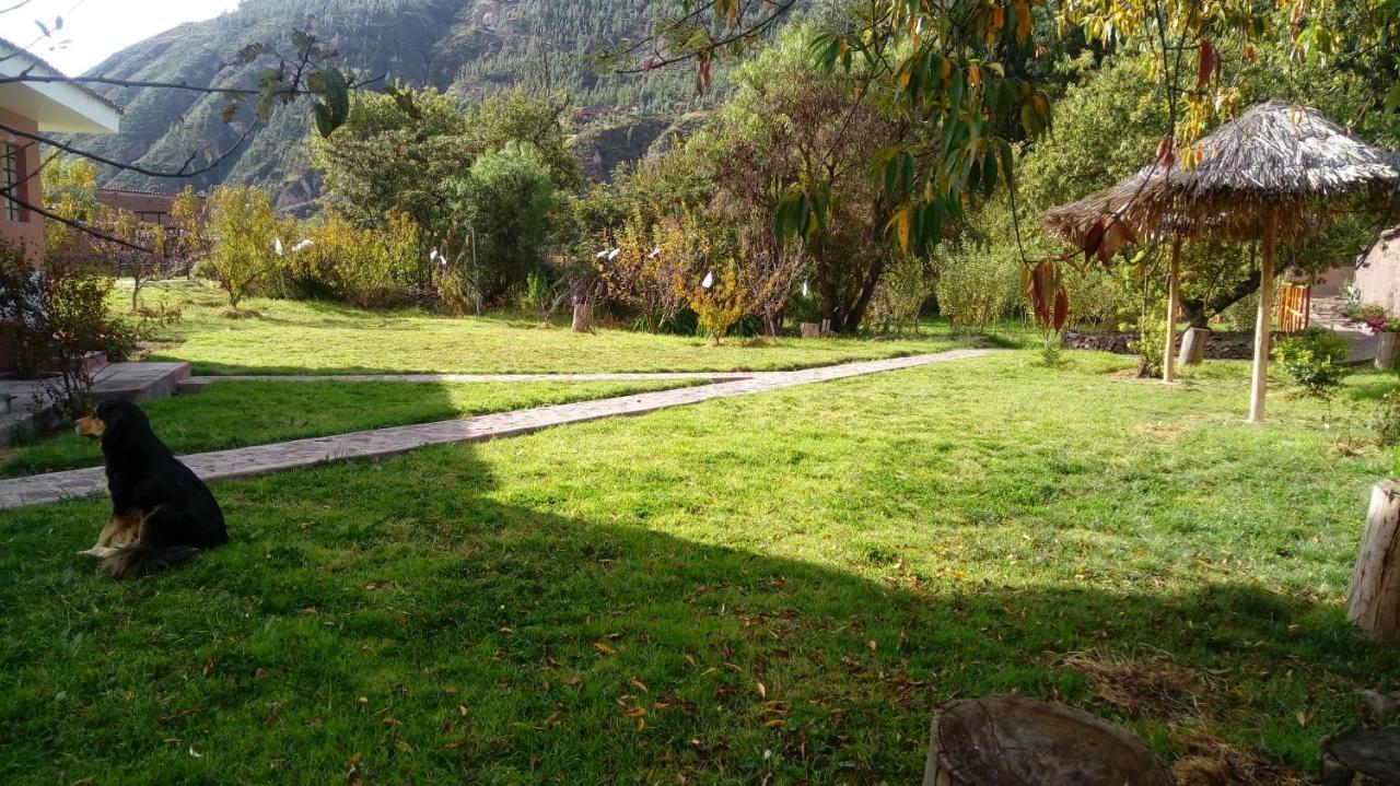 Qali Samanawasi Konuk evi Huaro Dış mekan fotoğraf